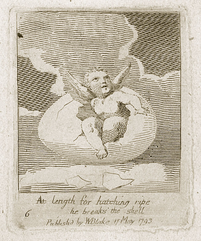 At length for hatching ripe
				he breaks the shell
				Publishd by WBlake 17 May 1793