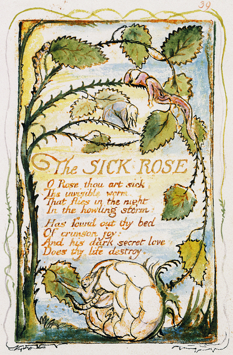 39
	The SICK ROSE
	O Rose thou art sick.
	The invisible worm.
	That flies in the night
	In the howling storm:
	Has found out thy bed
	Of crimson joy:
	And his dark secret love
	Does thy life destroy.